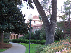 カリフォルニア州立大学  チコ