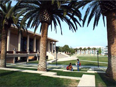 カリフォルニア州立大学  ノースリッジ