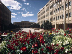 ワイオミング大学