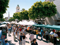 カリフォルニア大学ロサンゼルス校（UCLA）