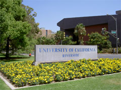 カリフォルニア大学リバーサイド校（UCR）
